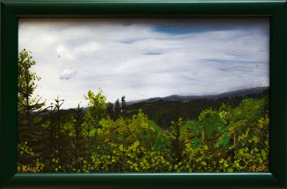 2009 — (36) Nad Studánkou, A,O,S, cca 17x26cm
